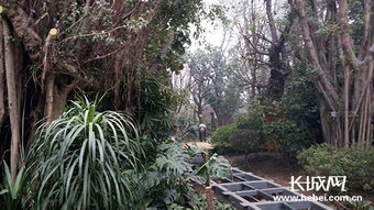 唐山世園熱帶植物館 奧秘與魅力的交織，體育場地設施工程的匠心打造